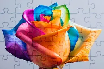 rosa jigsaw puzzle