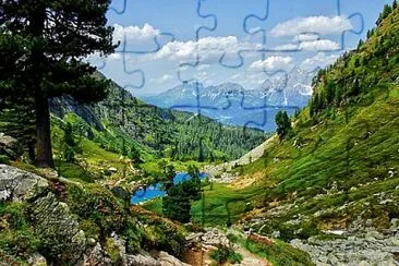 Toy jigsaw puzzle