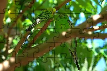 Toy jigsaw puzzle