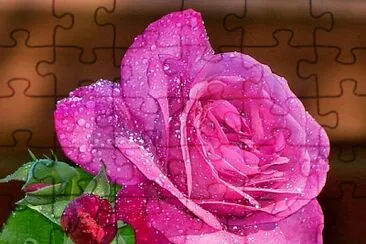 imagem jigsaw puzzle