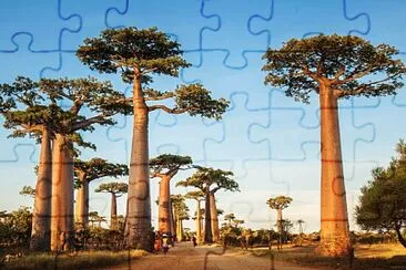 imagem jigsaw puzzle