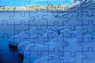 Toy jigsaw puzzle