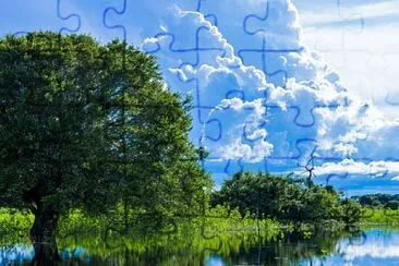 168 jigsaw puzzle