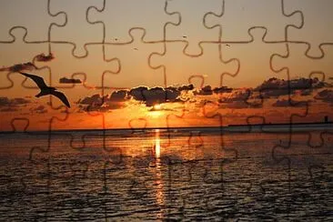 Toy jigsaw puzzle