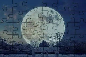 Toy jigsaw puzzle