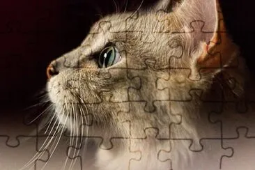 Toy jigsaw puzzle