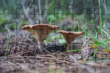 Toy jigsaw puzzle