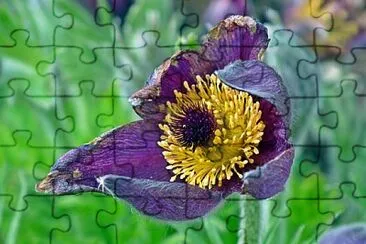 Toy jigsaw puzzle