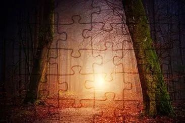 Toy jigsaw puzzle