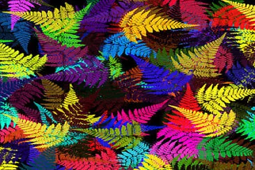 colorful fern leaves