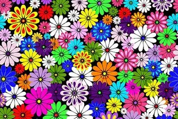 colorful flowers