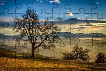 Toy jigsaw puzzle