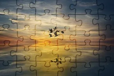 Toy jigsaw puzzle