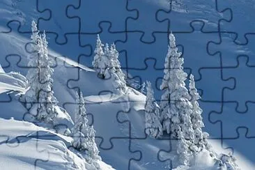 Toy jigsaw puzzle