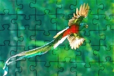 Toy jigsaw puzzle