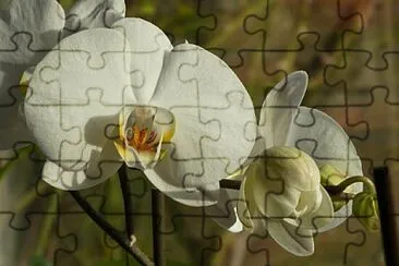 Toy jigsaw puzzle