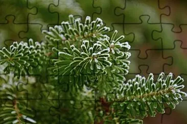 Toy jigsaw puzzle