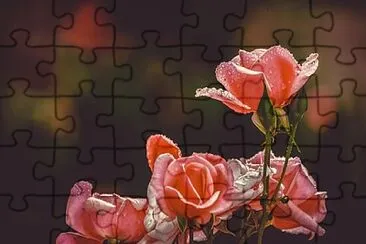 Toy jigsaw puzzle