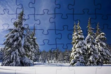 Toy jigsaw puzzle