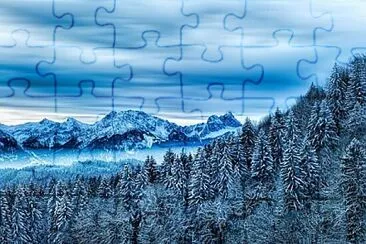 Toy jigsaw puzzle