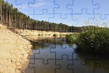 Toy jigsaw puzzle