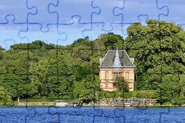 Toy jigsaw puzzle