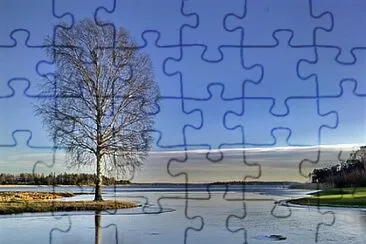 Toy jigsaw puzzle