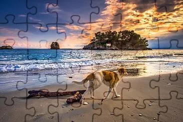 Toy jigsaw puzzle