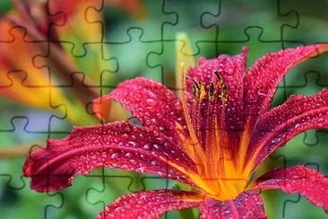 Toy jigsaw puzzle