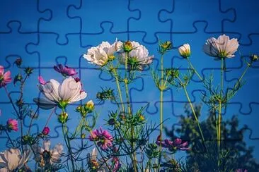 Toy jigsaw puzzle