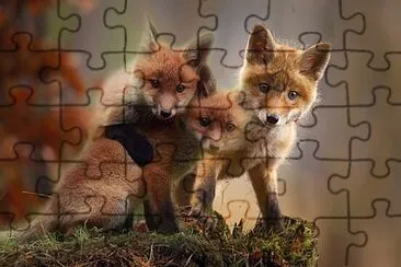 Toy jigsaw puzzle