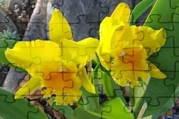 imagem jigsaw puzzle