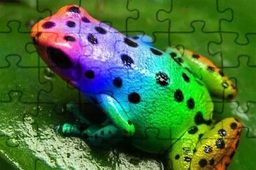 RANA ARCOIRIS jigsaw puzzle