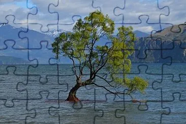 Toy jigsaw puzzle