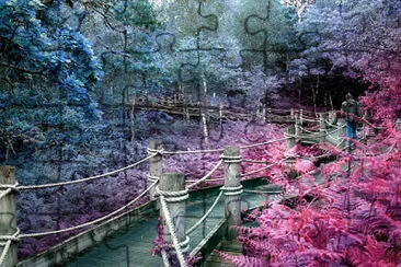 Pastel walkway jigsaw puzzle