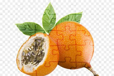 Granadilla jigsaw puzzle