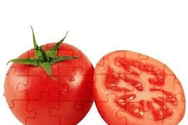 פאזל של tomato 2