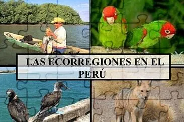 Arma el puzzle sobre las ecorregiones.