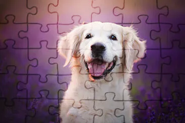  jigsaw puzzle