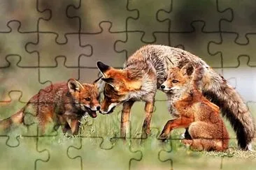 mom #331 jigsaw puzzle