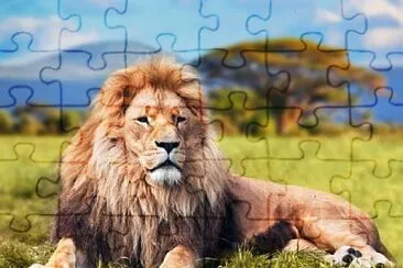  jigsaw puzzle