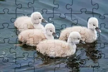 imagem jigsaw puzzle