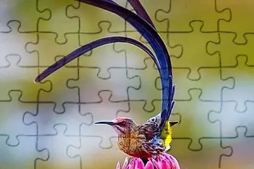 imagem jigsaw puzzle