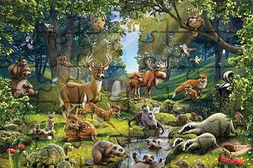 Animalele salbatice jigsaw puzzle