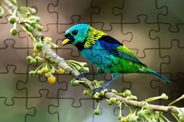 token jigsaw puzzle