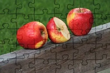 a jigsaw puzzle