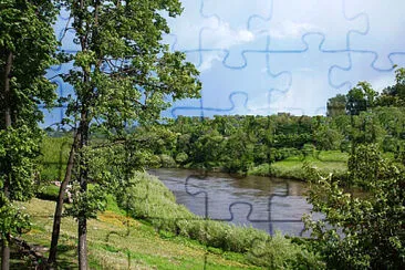 Toy jigsaw puzzle