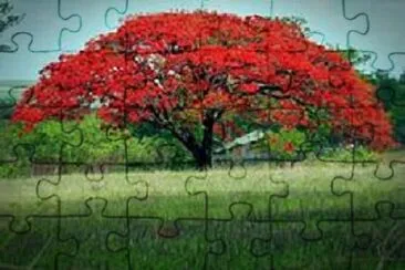 Toy jigsaw puzzle