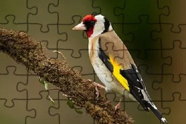 token jigsaw puzzle