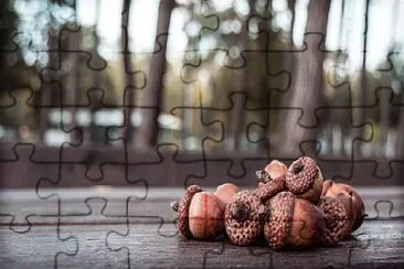 Toy jigsaw puzzle